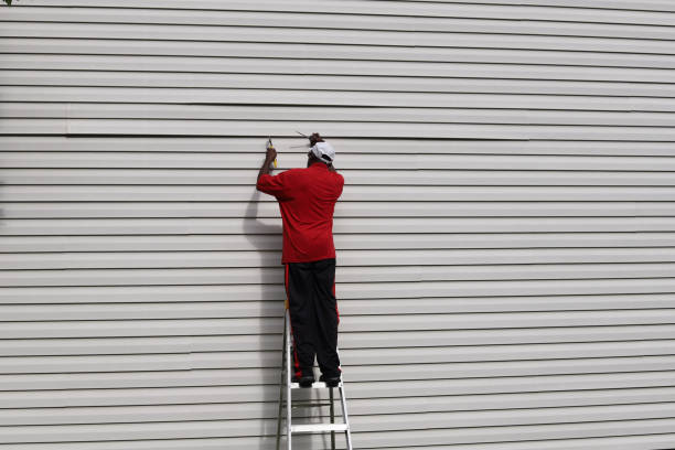 Best Siding for New Construction  in Carrizozo, NM